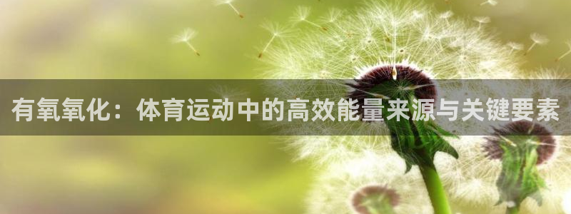 斗体育英超西甲德甲：有氧氧化：体育运动中的高效能量来源与关键要素