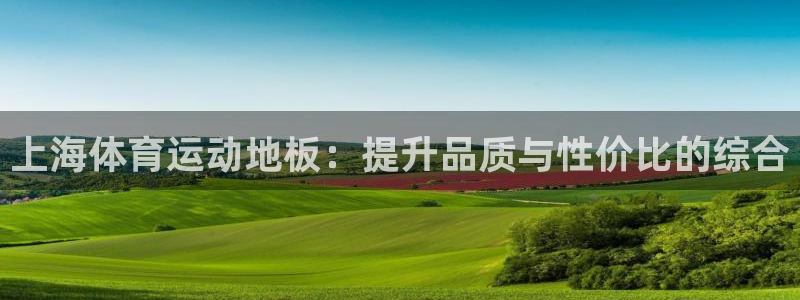 斗体育篮球直播：上海体育运动地板：提升品质与性价比的综合