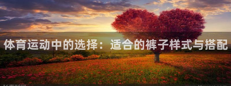 斗体育投屏版：体育运动中的选择：适合的裤子样式与搭配