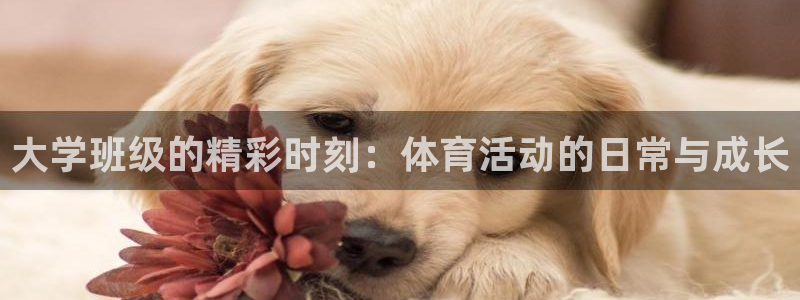 斗体育app下载官网苹果：大学班级的精彩时刻：体育活动的日常与成长